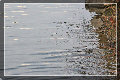 sito_fotografico001001.jpg