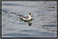 sito_fotografico001002.jpg