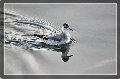 sito_fotografico001003.jpg