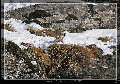 sito_fotografico001006.jpg
