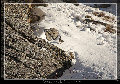 sito_fotografico001007.jpg