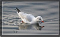 sito_fotografico001012.jpg