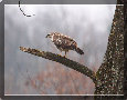 sito_fotografico001013.jpg