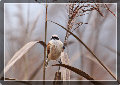 sito_fotografico001019.jpg