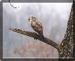 sito_fotografico001020.jpg
