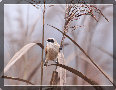 sito_fotografico001026.jpg