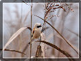 sito_fotografico001027.jpg